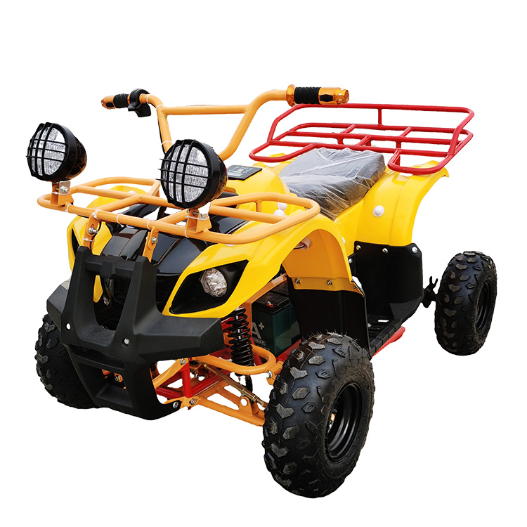 ATV Elettrico a 4 Ruote 24V co - Kids Outdoor Electric Car recensione e prezzo