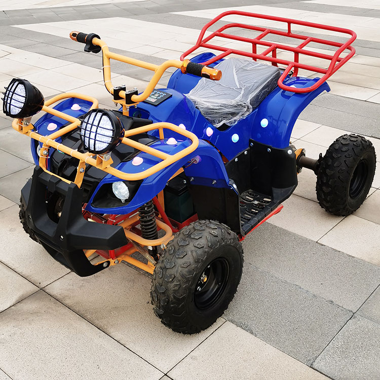 ATV Elettrico a 4 Ruote 24V co - Kids Outdoor Electric Car recensione e prezzo