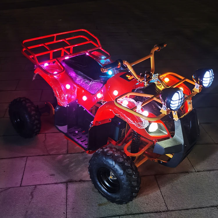 ATV Elettrico a 4 Ruote 24V co - Kids Outdoor Electric Car recensione e prezzo